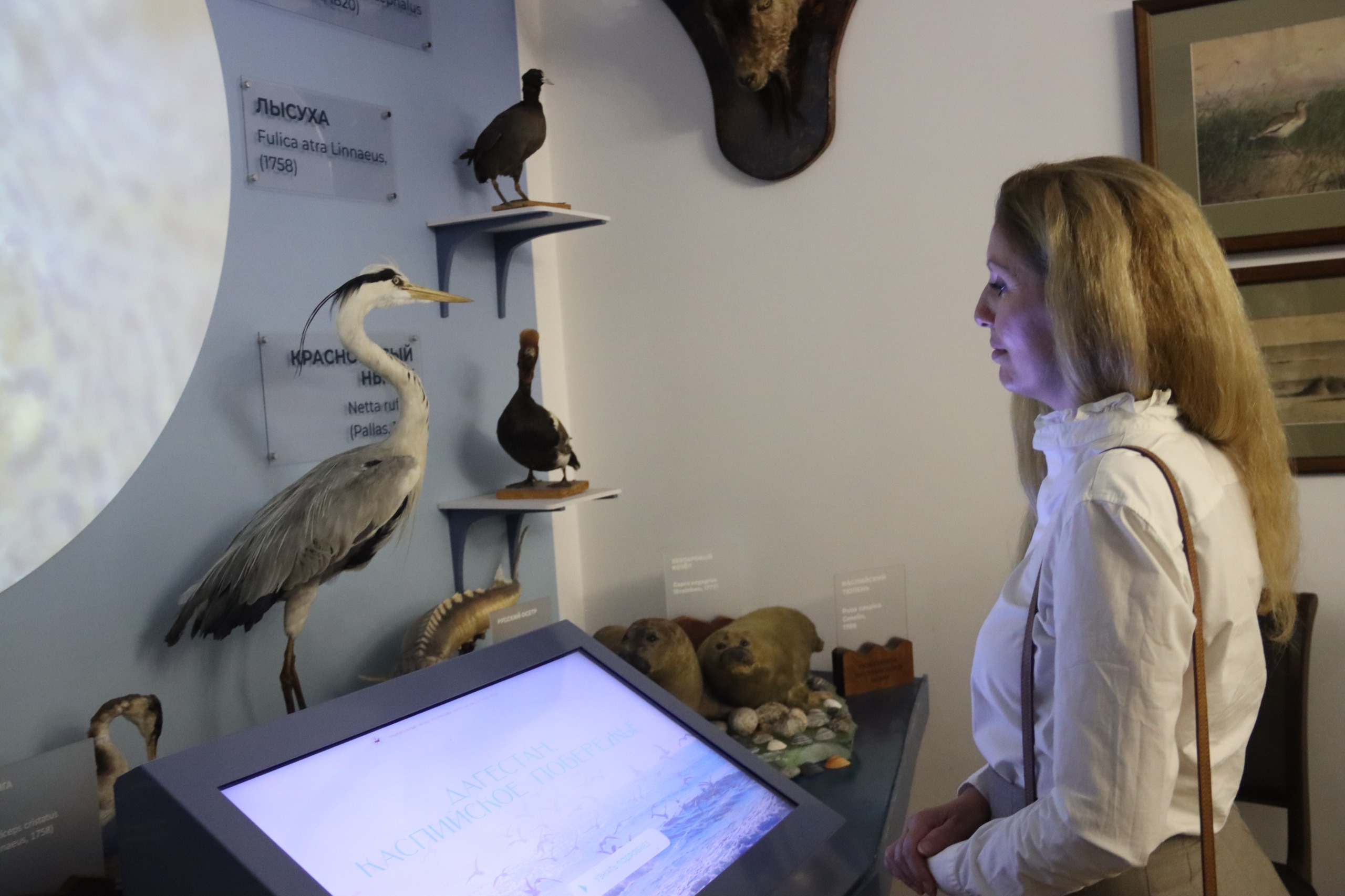 Знакомство с культурным наследием Дагестана. Экскурсия для соотечественниц из-за рубежа прошла в Махачкале